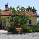 Sandra Brseč