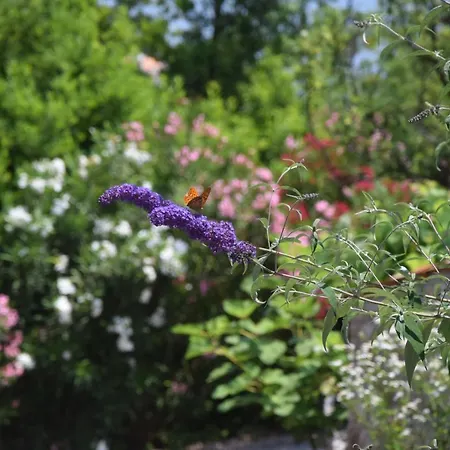 아파트 Sandra Brseč